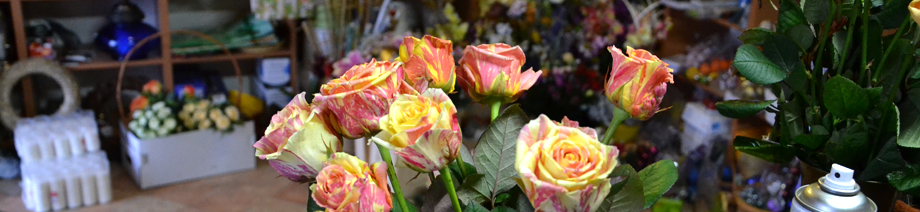 Kwiaciarnia Niedrzwica Duza